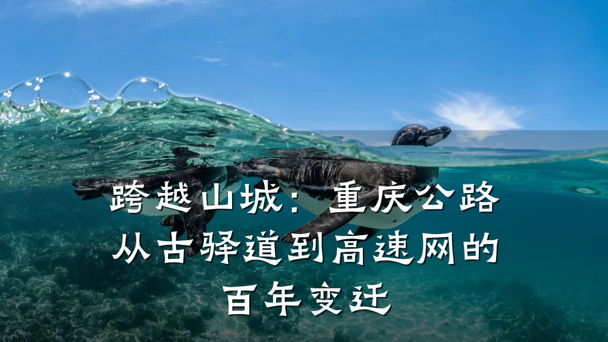 跨越山城:重庆公路从古驿道到高速网的百年变迁