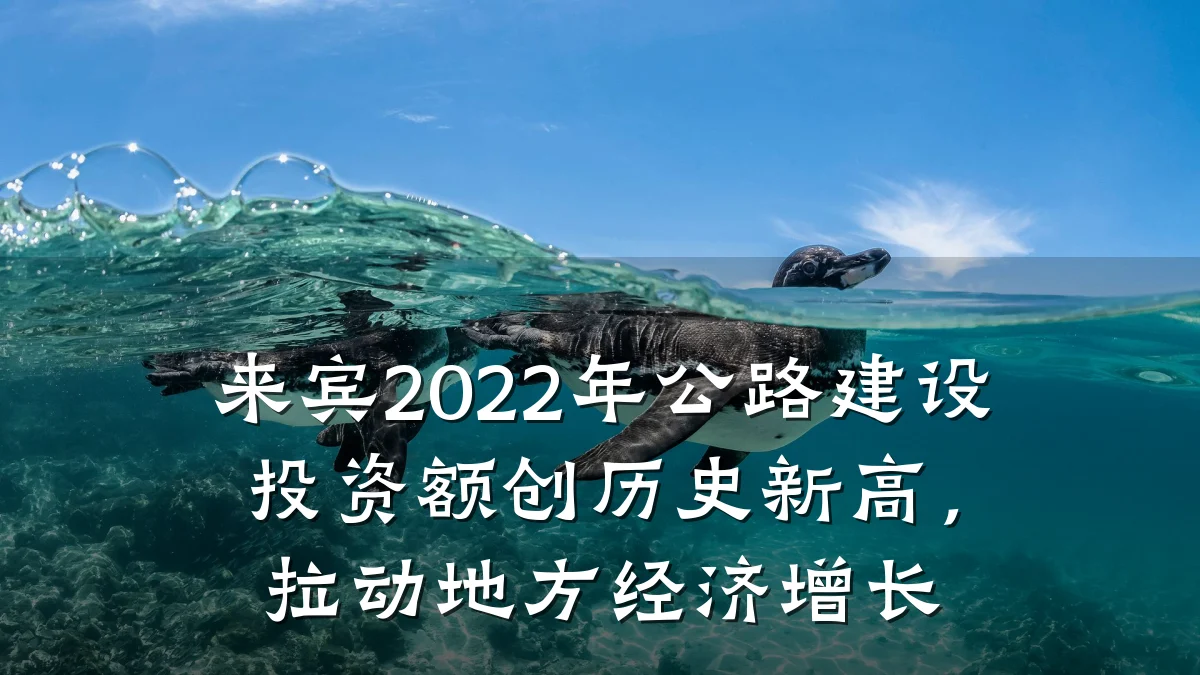 来宾2022年公路建设投资额创历史新高,拉动地方经济增长