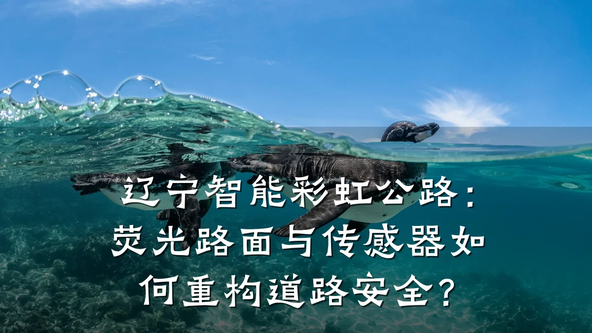 辽宁智能彩虹公路:荧光路面与传感器如何重构道路安全?