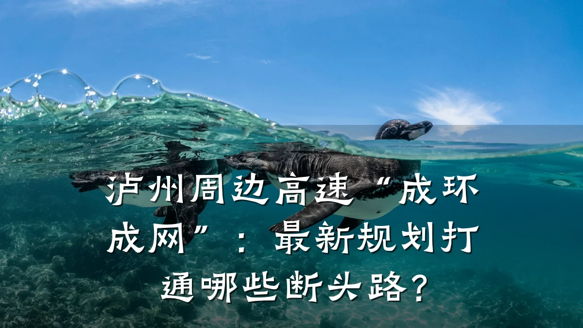 泸州周边高速“成环成网”:最新规划打通哪些断头路?