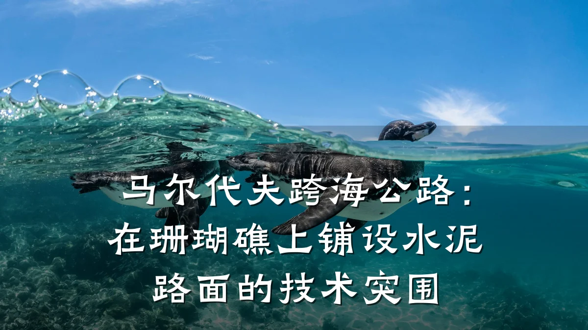 马尔代夫跨海公路：在珊瑚礁上铺设水泥路面的技术突围