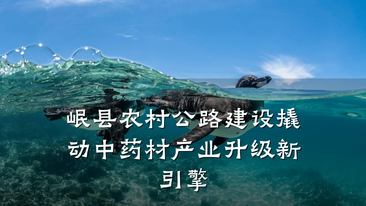 岷县农村公路建设撬动中药材产业升级新引擎