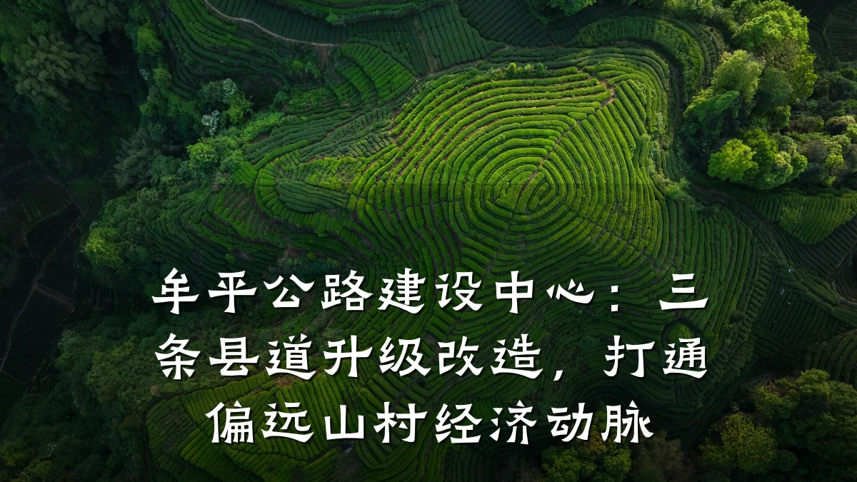 牟平公路建设中心：三条县道升级改造，打通偏远山村经济动脉