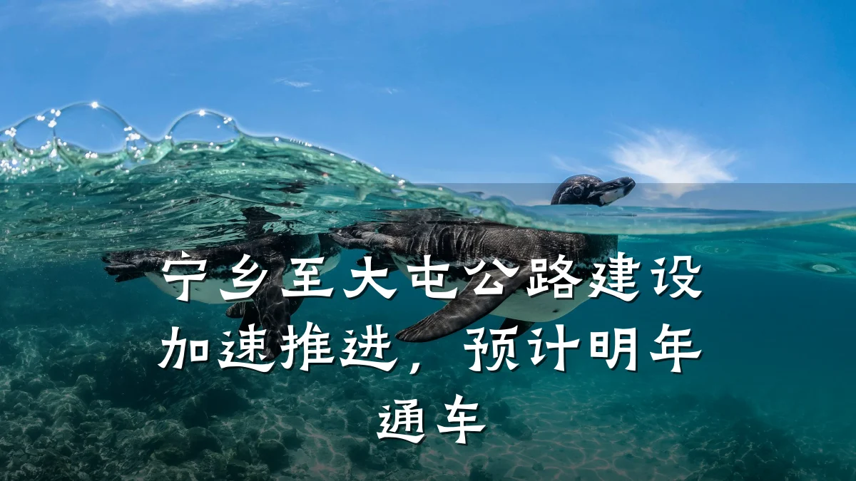 宁乡至大屯公路建设加速推进,预计明年通车
