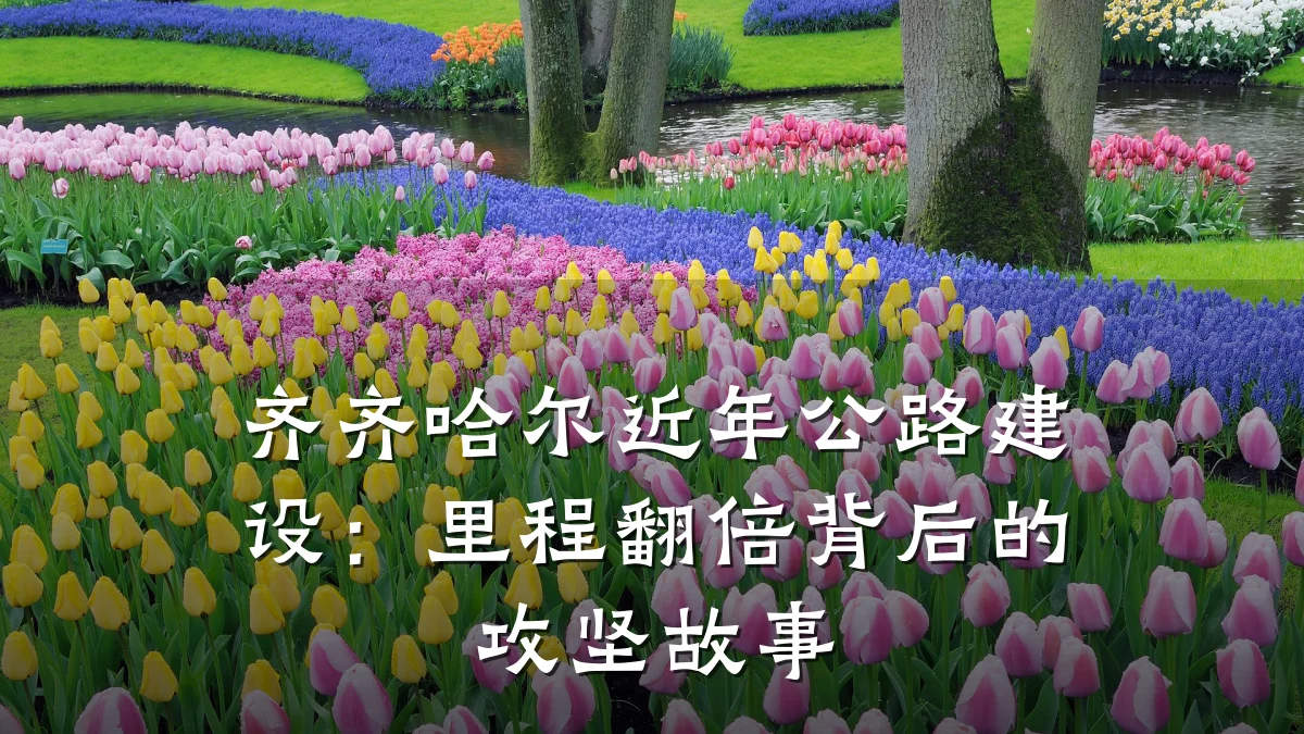 齐齐哈尔近年公路建设:里程翻倍背后的攻坚故事