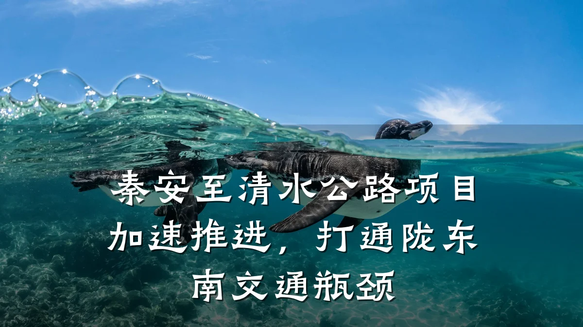秦安至清水公路项目加速推进,打通陇东南交通瓶颈