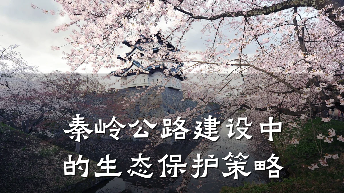 秦岭公路建设中的生态保护策略