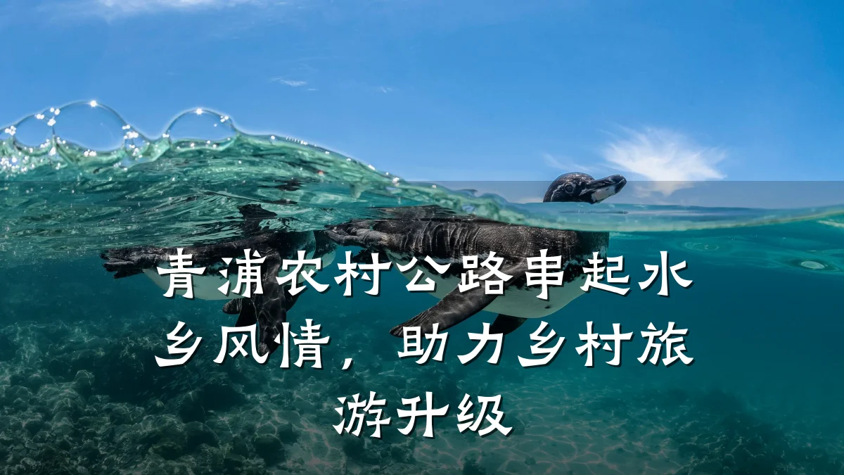 青浦农村公路串起水乡风情,助力乡村旅游升级