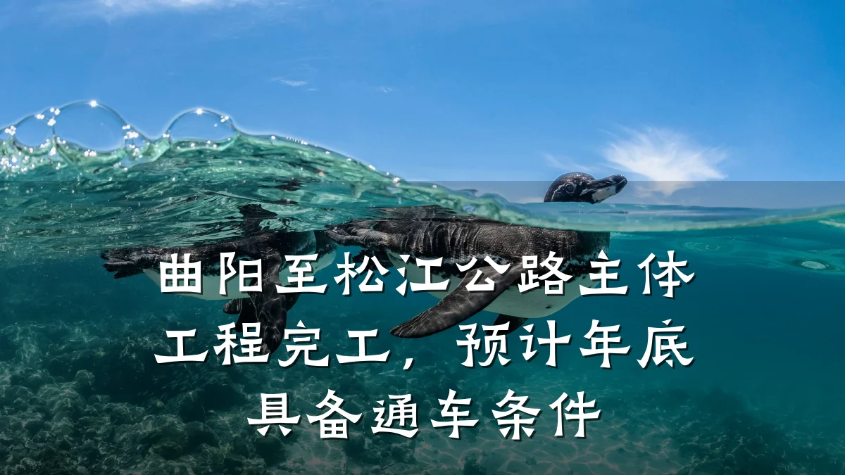 曲阳至松江公路主体工程完工，预计年底具备通车条件