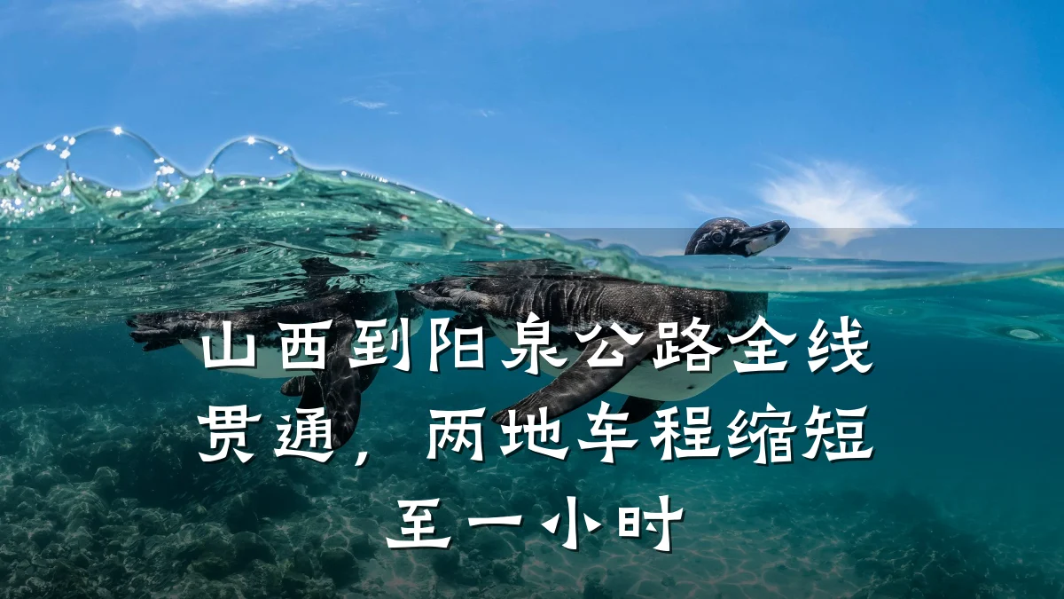 山西到阳泉公路全线贯通,两地车程缩短至一小时
