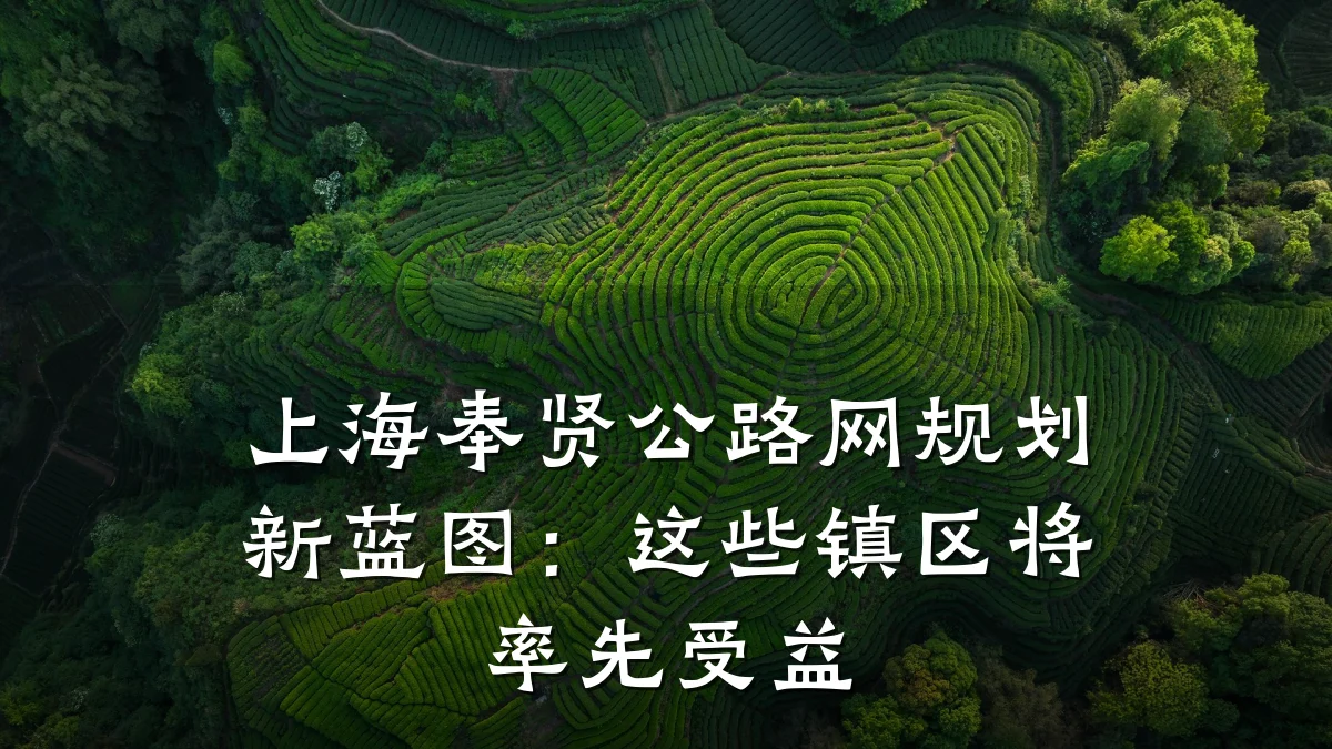 上海奉贤公路网规划新蓝图：这些镇区将率先受益