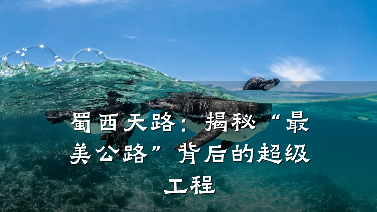 蜀西天路:揭秘“最美公路”背后的超级工程