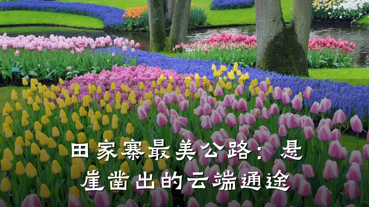 田家寨最美公路:悬崖凿出的云端通途