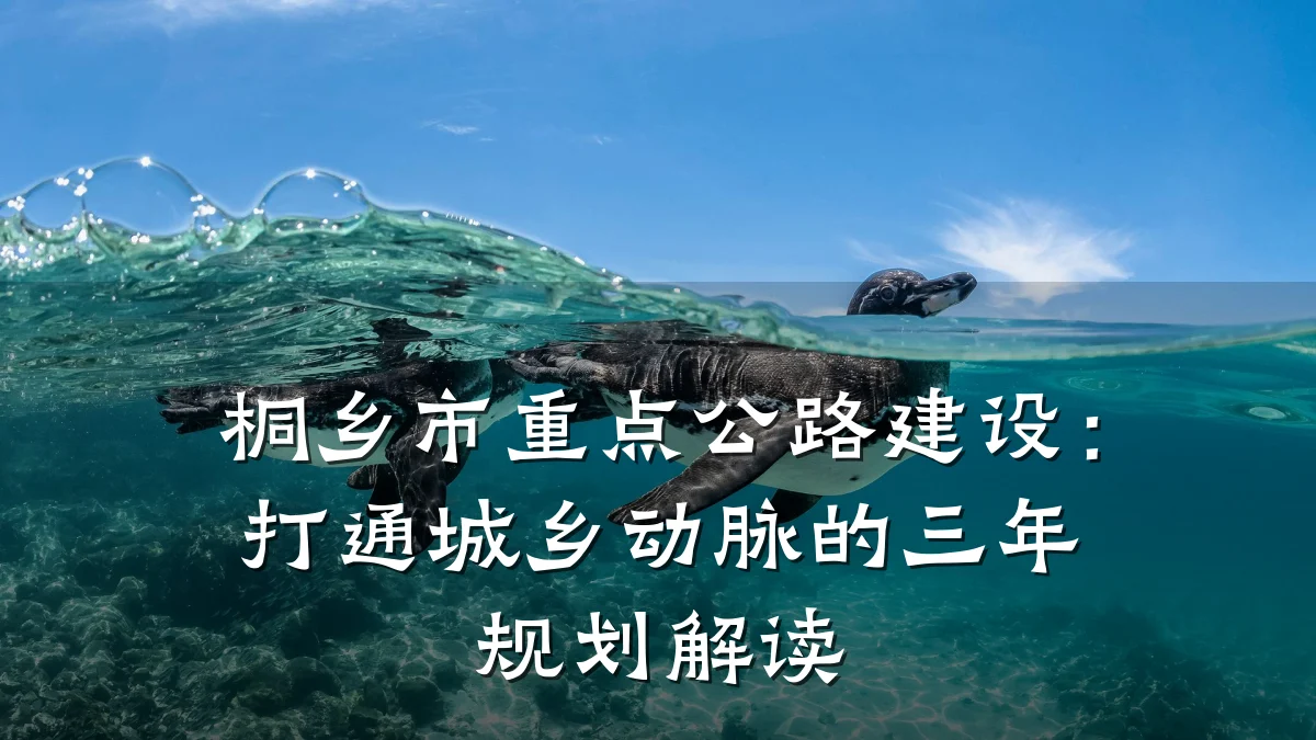 桐乡市重点公路建设:打通城乡动脉的三年规划解读