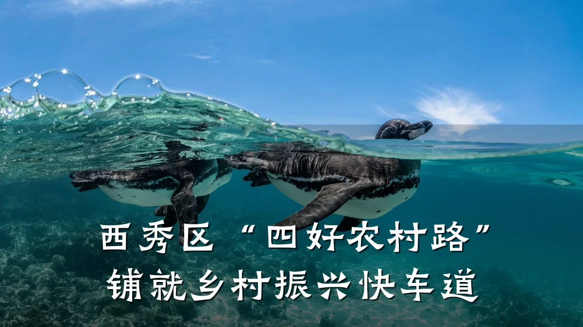 西秀区“四好农村路”铺就乡村振兴快车道