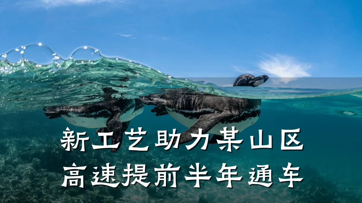新工艺助力某山区高速提前半年通车