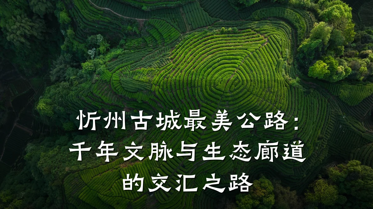 忻州古城最美公路:千年文脉与生态廊道的交汇之路