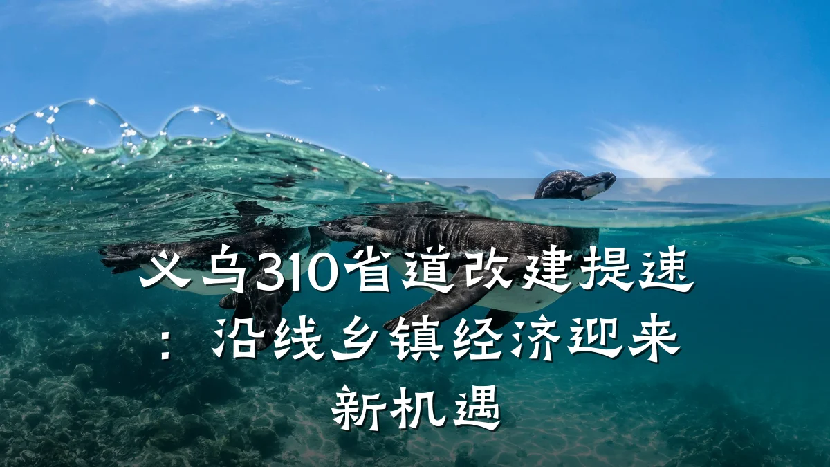 义乌310省道改建提速:沿线乡镇经济迎来新机遇