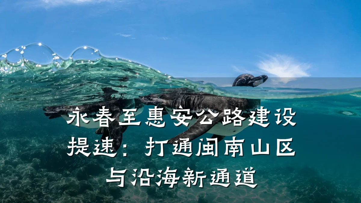 永春至惠安公路建设提速:打通闽南山区与沿海新通道