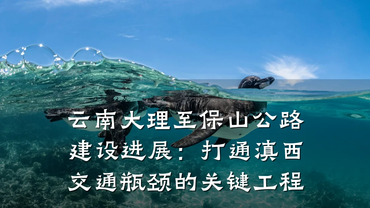 云南大理至保山公路建设进展:打通滇西交通瓶颈的关键工程