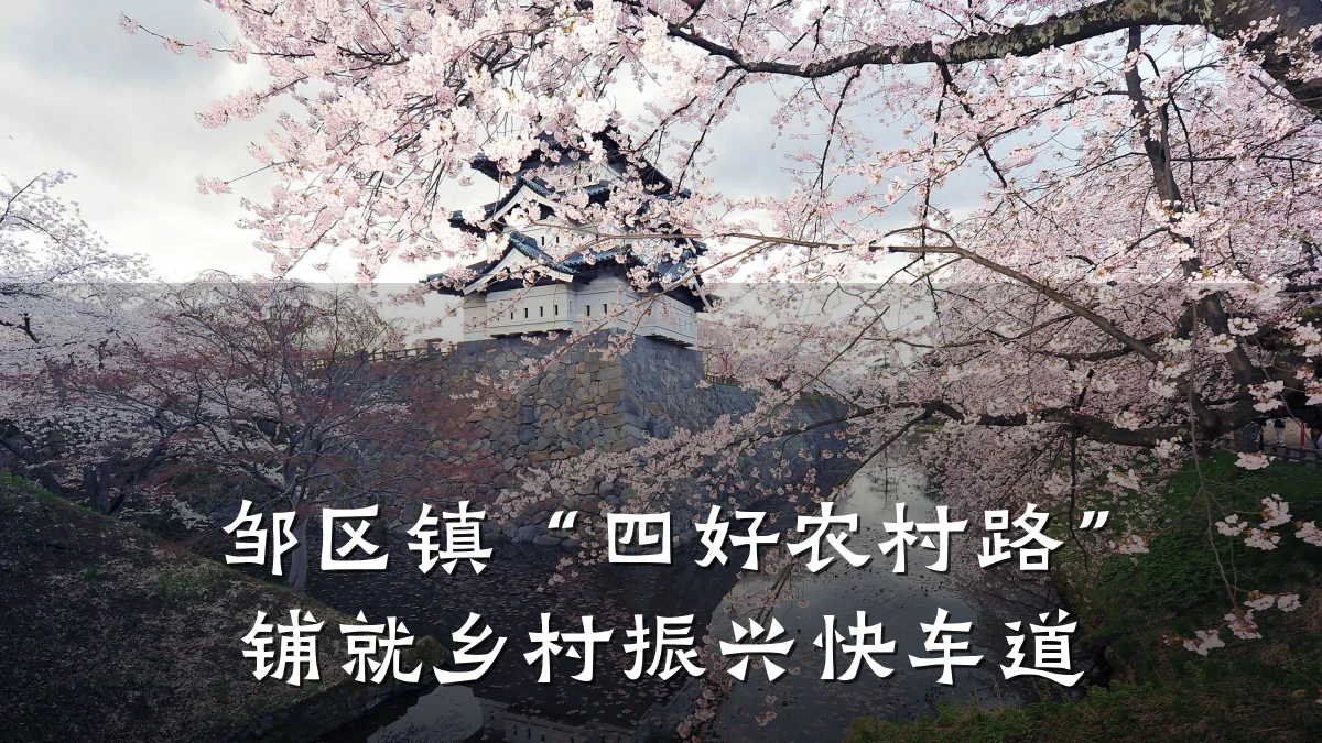邹区镇“四好农村路”铺就乡村振兴快车道
