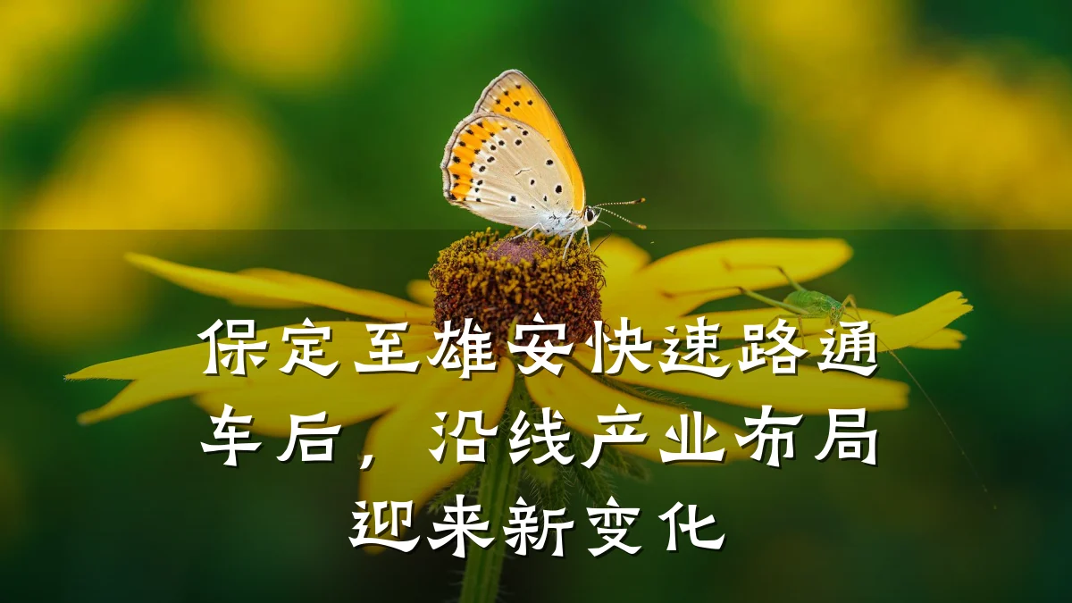 保定至雄安快速路通车后,沿线产业布局迎来新变化
