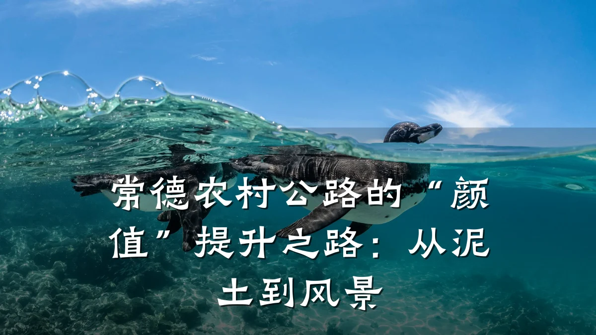 常德农村公路的“颜值”提升之路:从泥土到风景