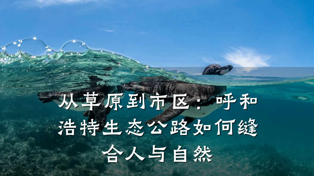 从草原到市区:呼和浩特生态公路如何缝合人与自然