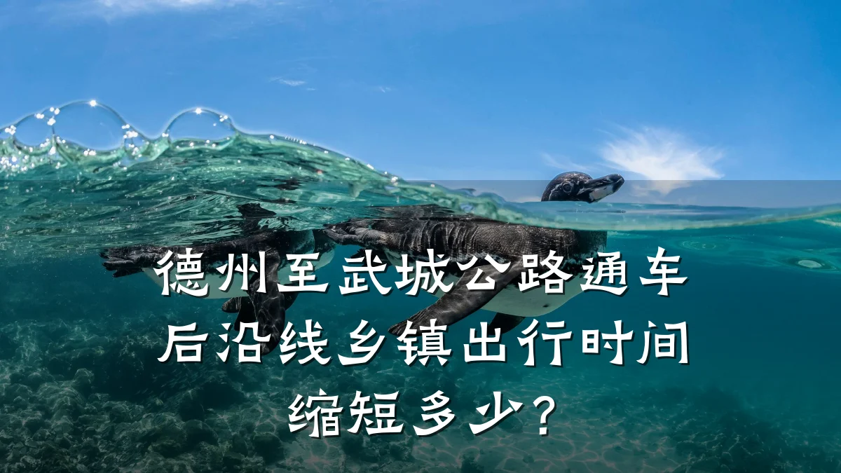 德州至武城公路通车后沿线乡镇出行时间缩短多少?