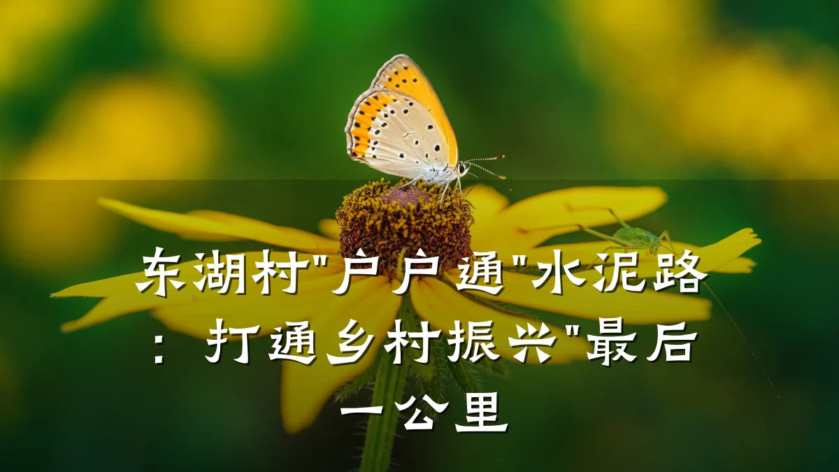 东湖村"户户通"水泥路:打通乡村振兴"最后一公里