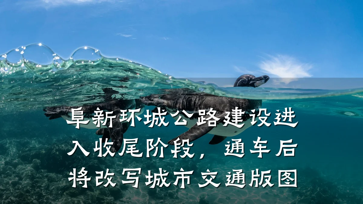 阜新环城公路建设进入收尾阶段,通车后将改写城市交通版图
