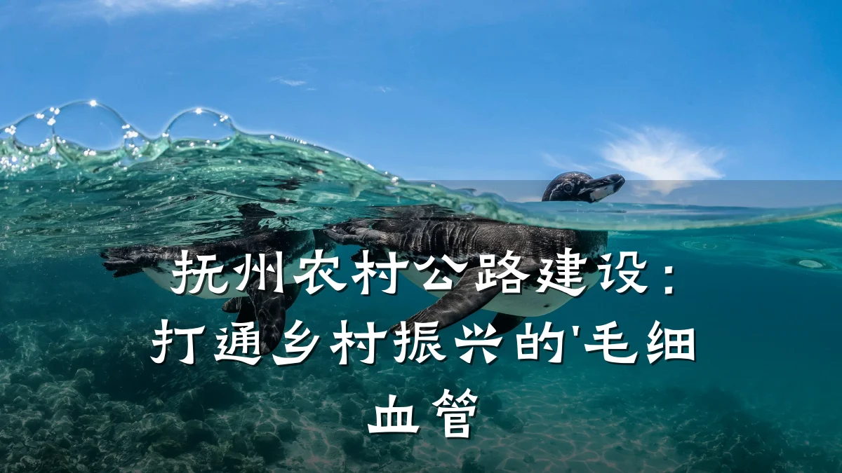 抚州农村公路建设:打通乡村振兴的'毛细血管
