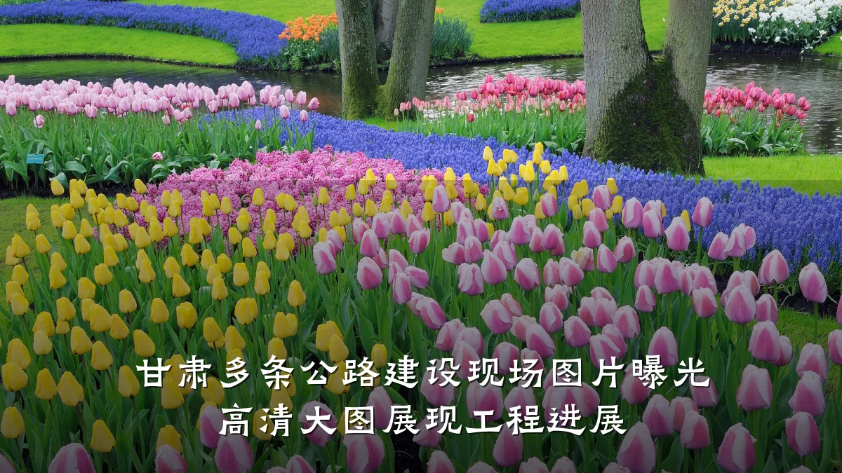 甘肃多条公路建设现场图片曝光 高清大图展现工程进展
