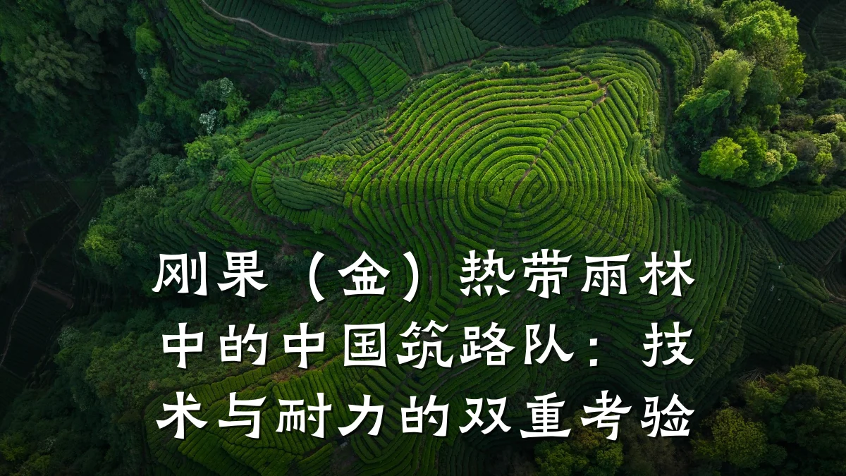 刚果（金）热带雨林中的中国筑路队：技术与耐力的双重考验
