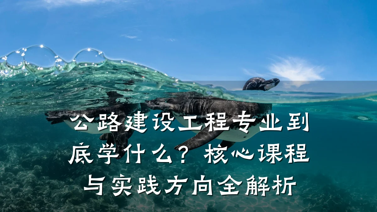 公路建设工程专业到底学什么?核心课程与实践方向全解析