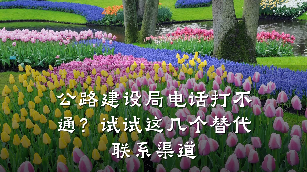 公路建设局电话打不通？试试这几个替代联系渠道