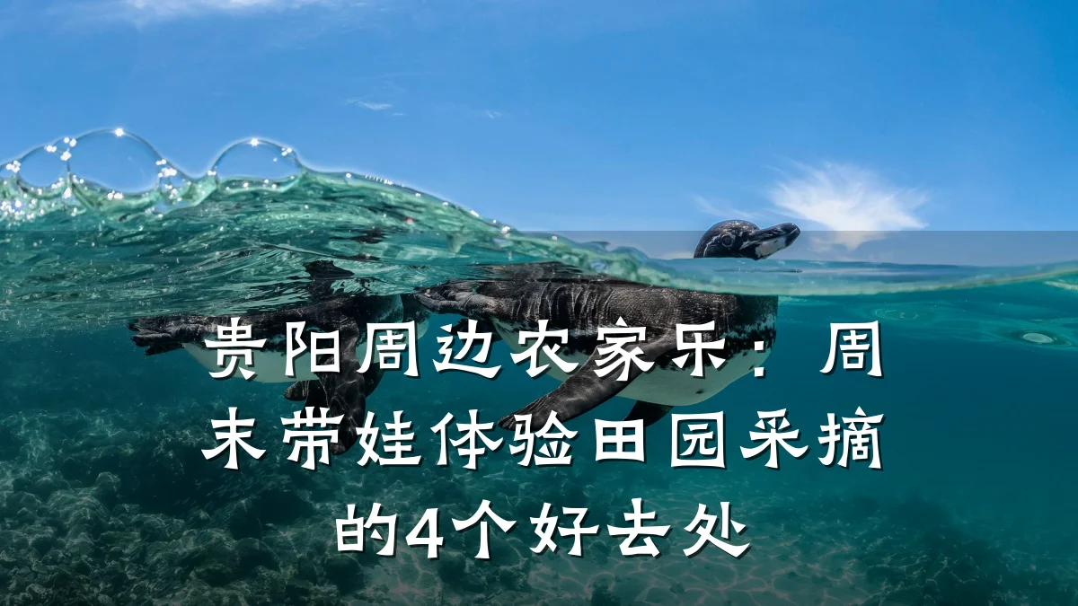 贵阳周边农家乐:周末带娃体验田园采摘的4个好去处