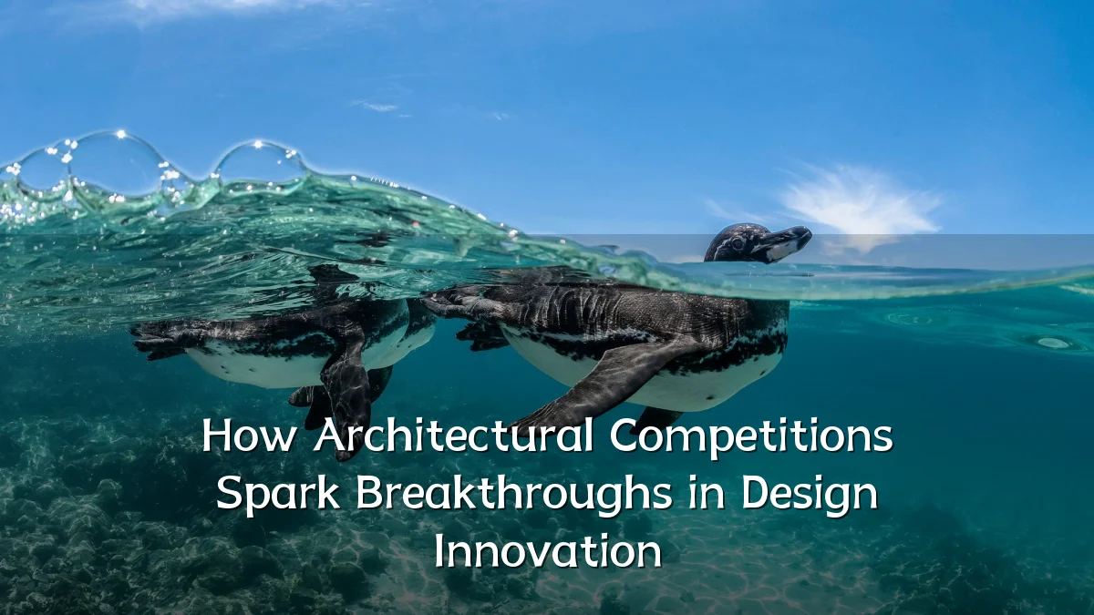 How Architectural Competitions Spark Breakthroughs in Design Innovation
