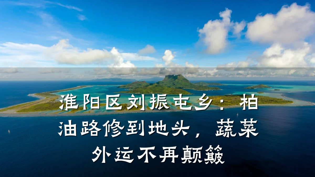 淮阳区刘振屯乡:柏油路修到地头,蔬菜外运不再颠簸