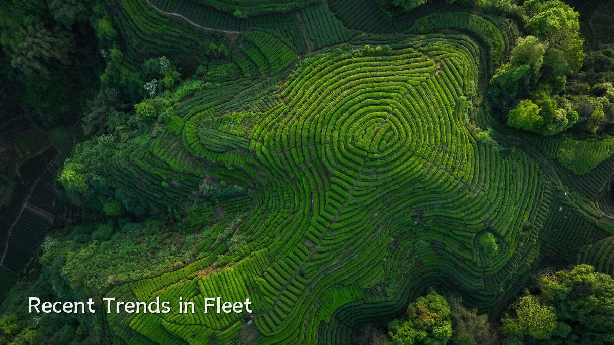 Recent Trends in Fleet