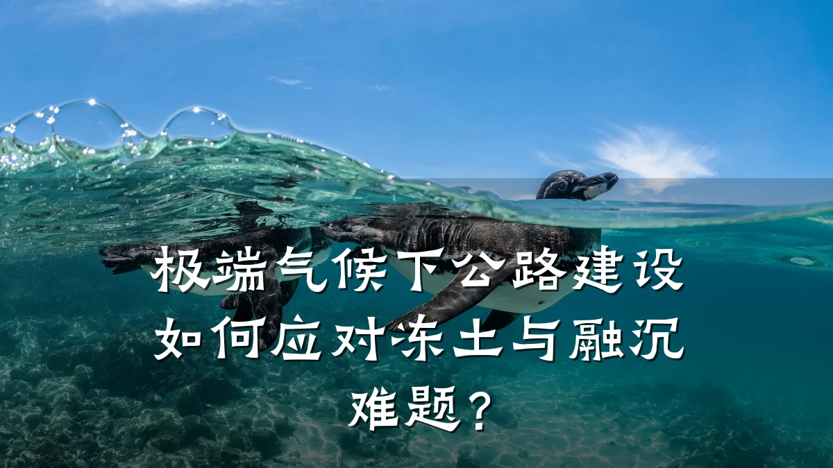 极端气候下公路建设如何应对冻土与融沉难题？