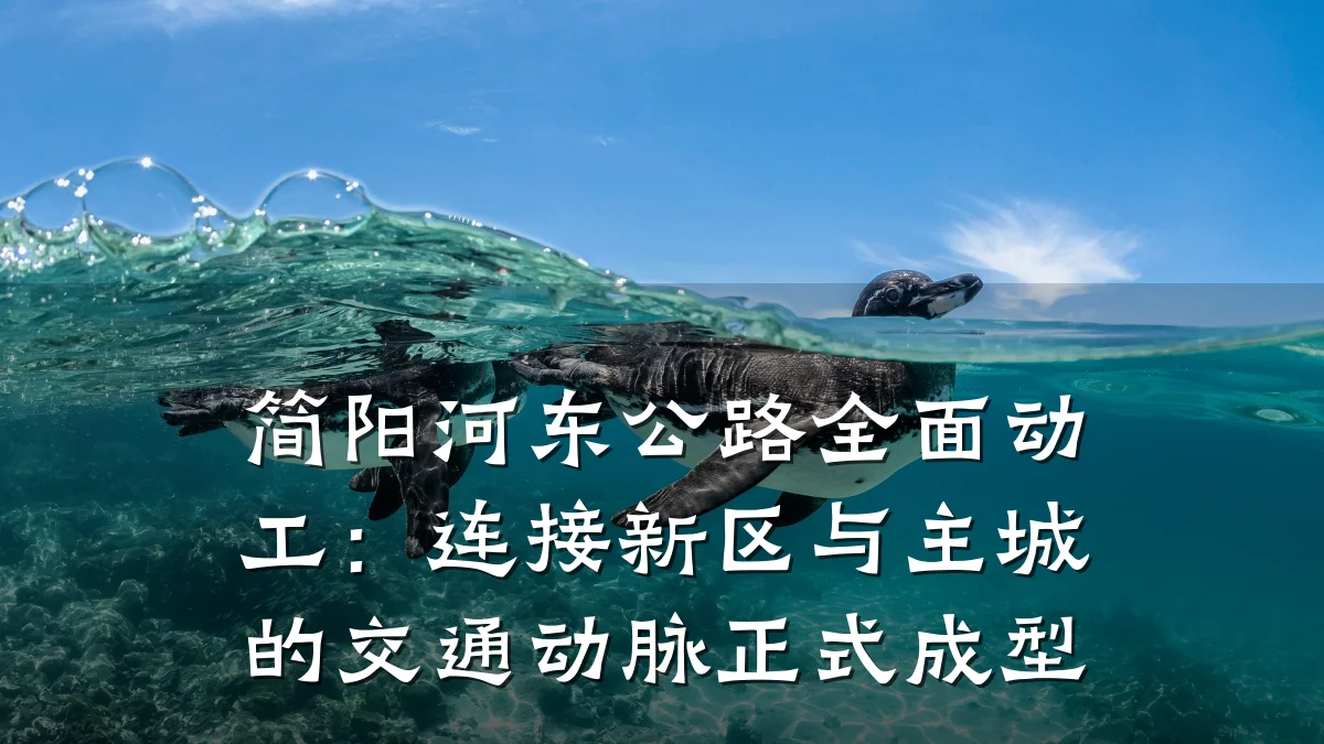 简阳河东公路全面动工：连接新区与主城的交通动脉正式成型