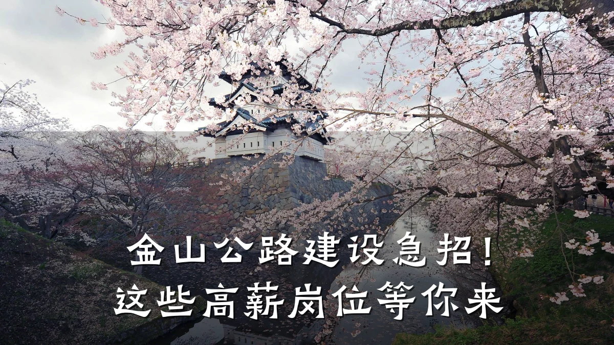 金山公路建设急招!这些高薪岗位等你来