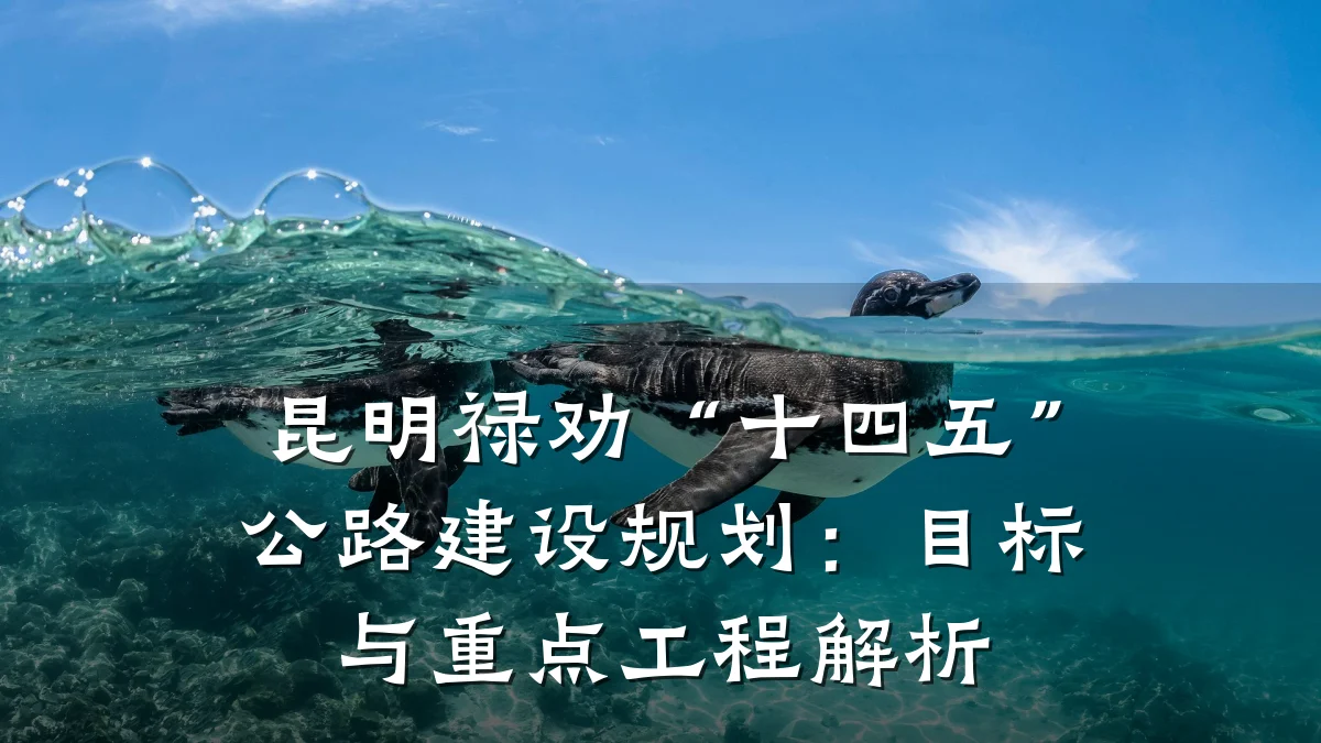 昆明禄劝“十四五”公路建设规划：目标与重点工程解析