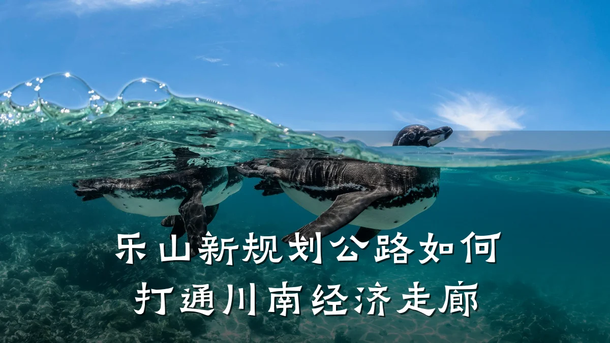 乐山新规划公路如何打通川南经济走廊