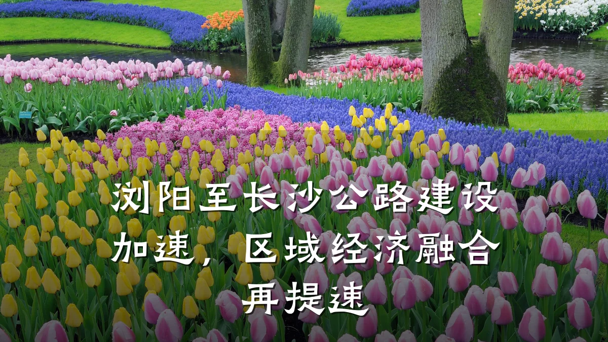 浏阳至长沙公路建设加速,区域经济融合再提速