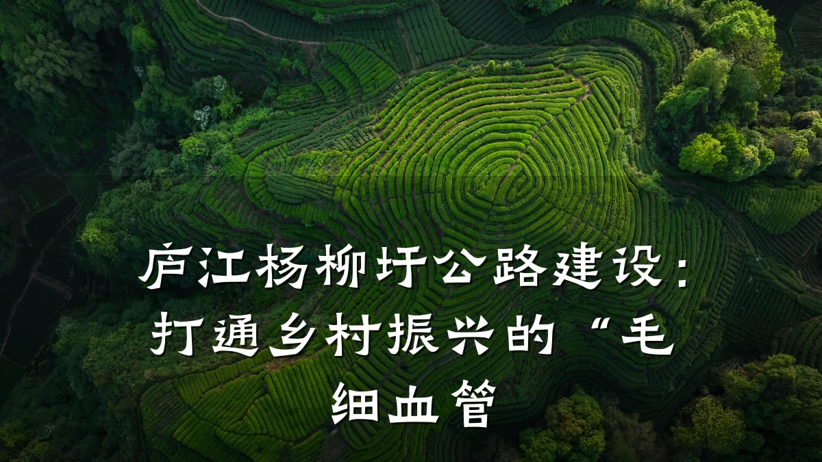 庐江杨柳圩公路建设:打通乡村振兴的“毛细血管