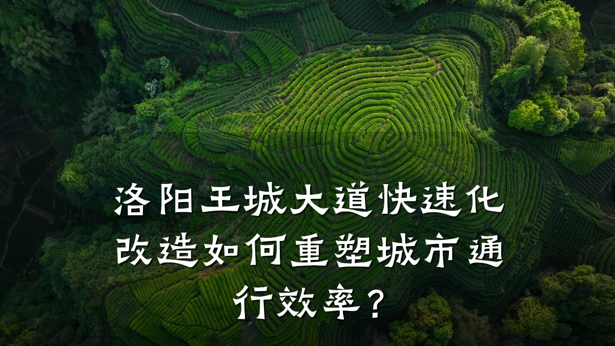 洛阳王城大道快速化改造如何重塑城市通行效率?
