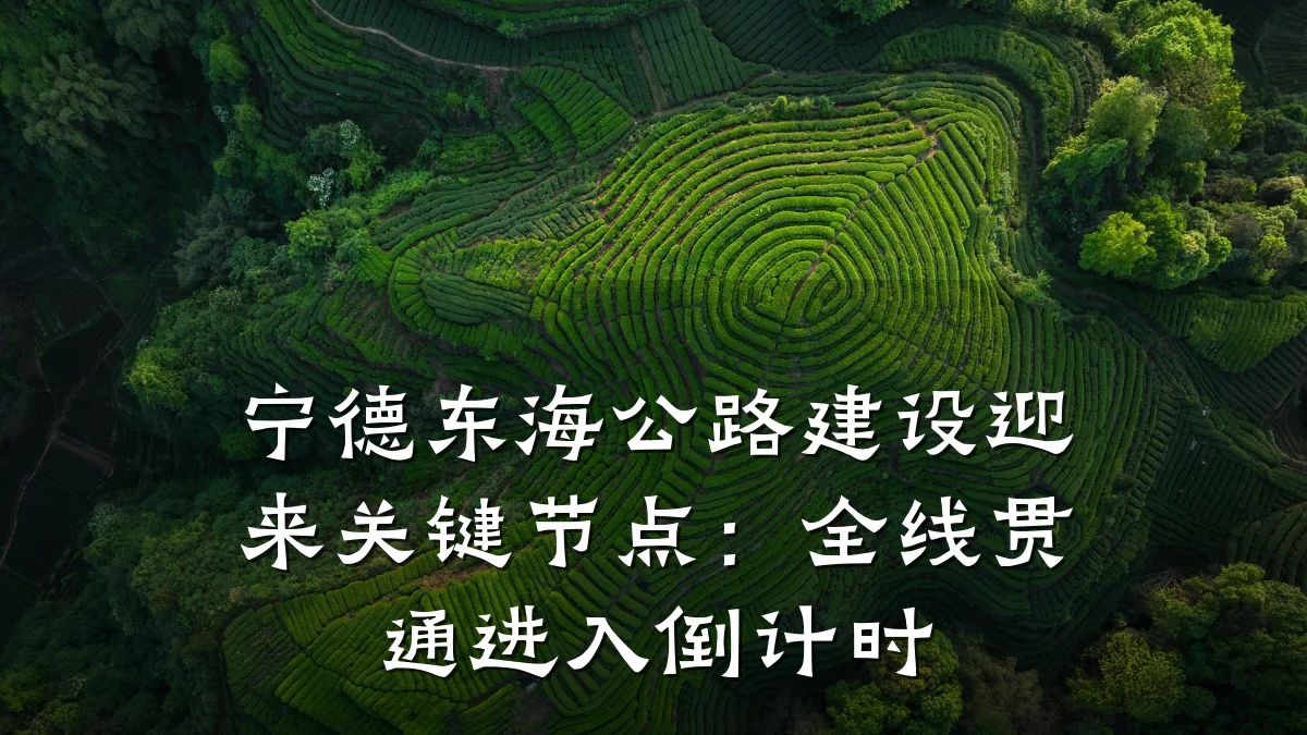宁德东海公路建设迎来关键节点:全线贯通进入倒计时