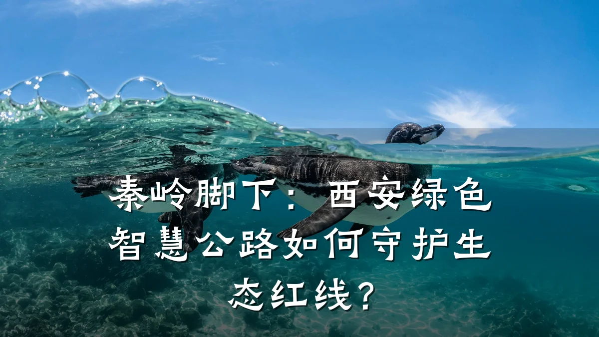 秦岭脚下:西安绿色智慧公路如何守护生态红线?